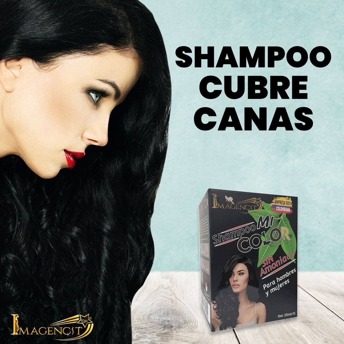 Shampoo cubre canas