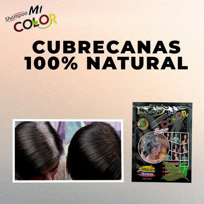 Shampoo cubre canas