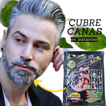 Shampoo cubre canas