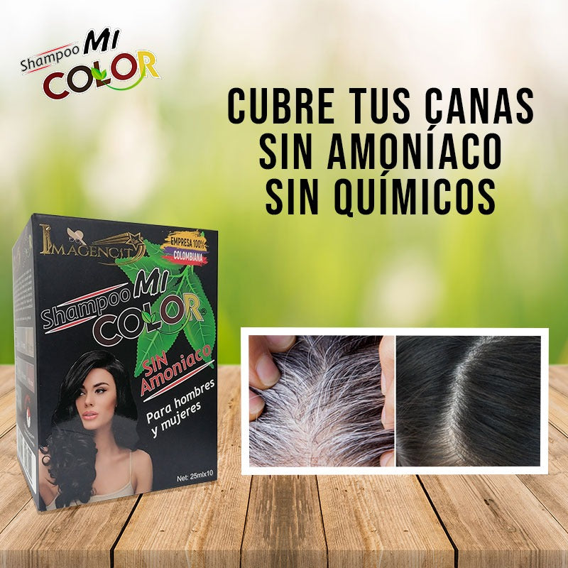 Shampoo cubre canas