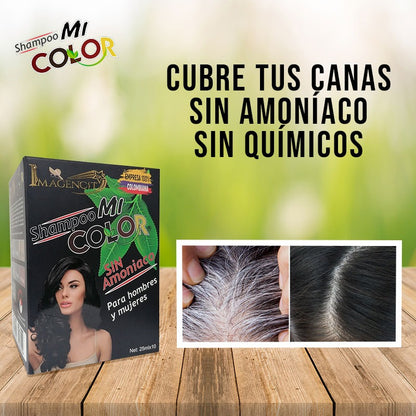 Shampoo cubre canas