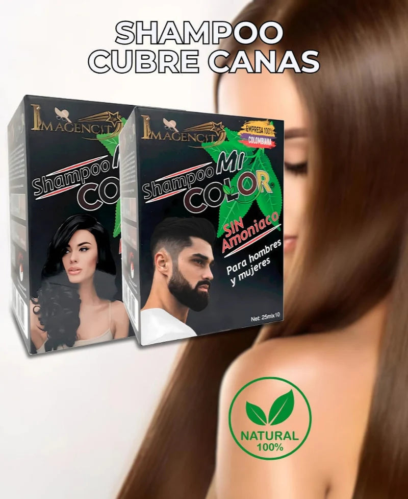 Encabezado